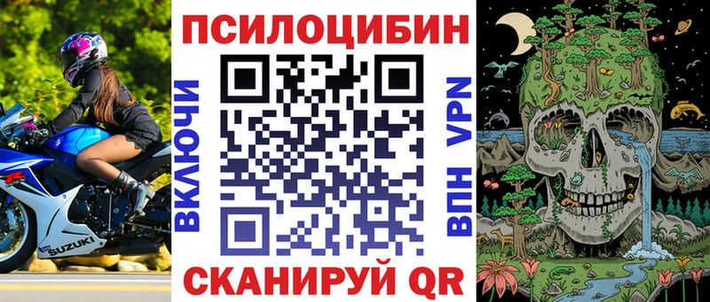 купить сайты Шиханы Псилоцибиновые грибы мухоморы